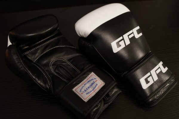 Official GFC Boxing Gloves